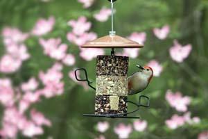 Stackables Seed Cylinders
